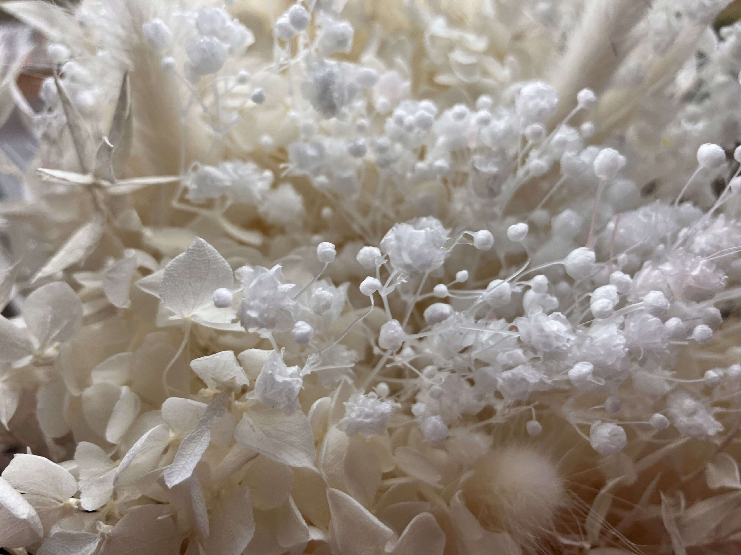 Trauredner für eine freie Trauung in Dortmund